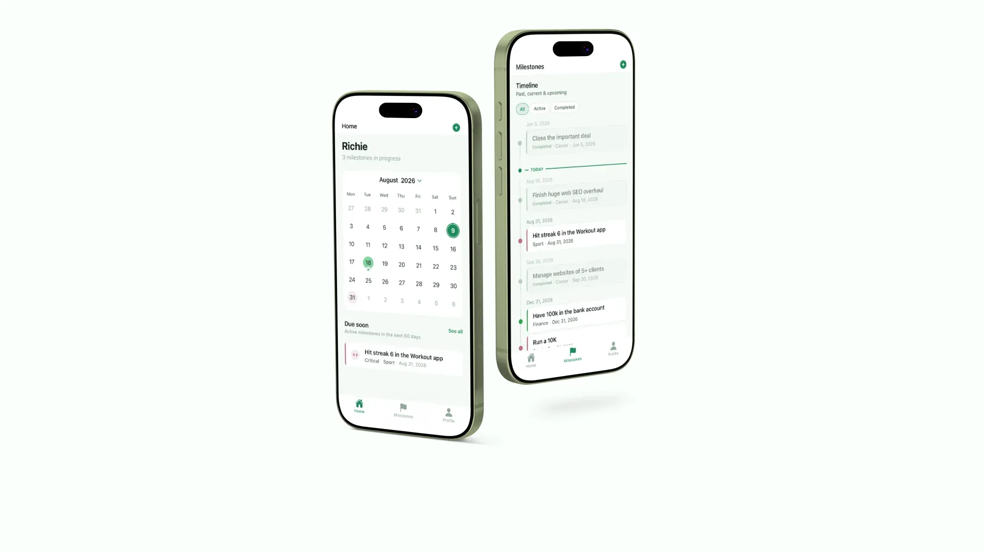 Screenshot projektu Milestones App