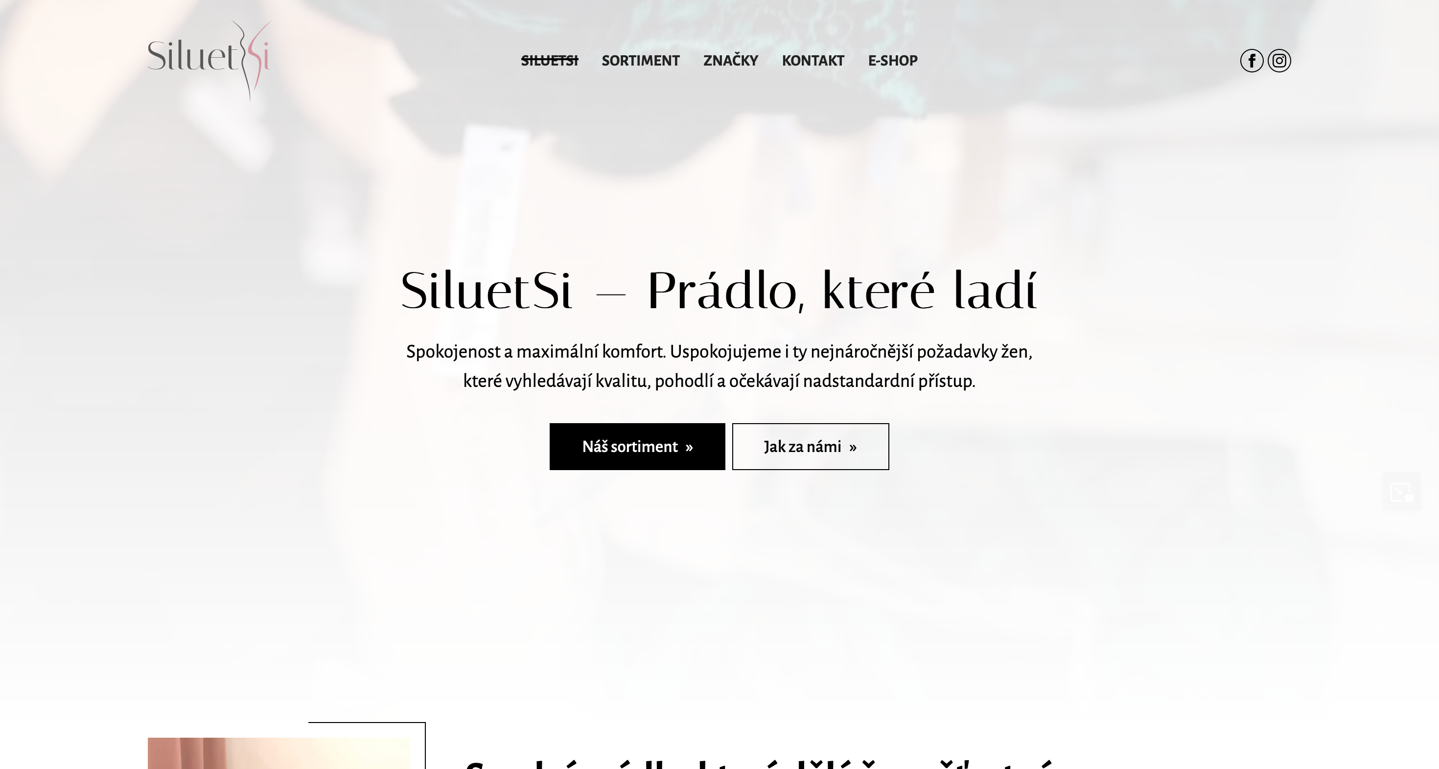 Úvodní stránka webu siluetsi.cz